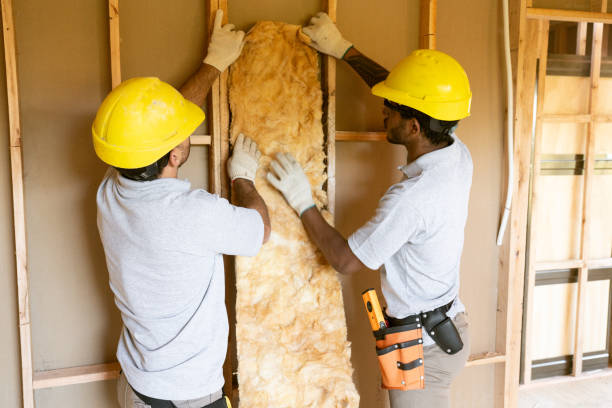 Trusted Gages Lake, IL Insulation Removal & Installation Experts